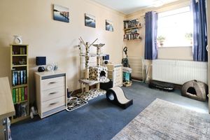 Photo 17- click for photo gallery